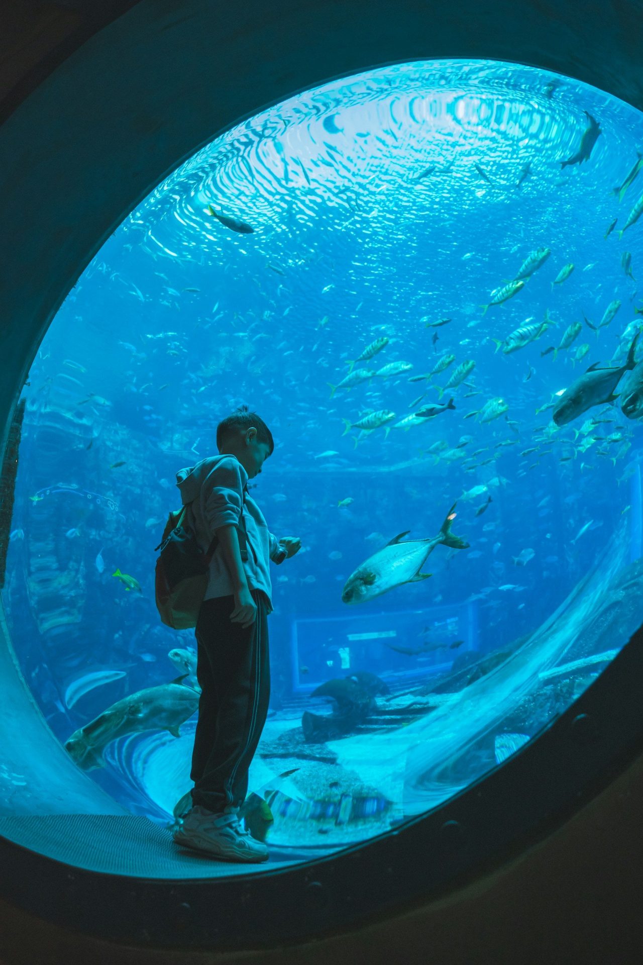 Aquaria KLCC Ticket – Kuala Lumpur, Malaysia